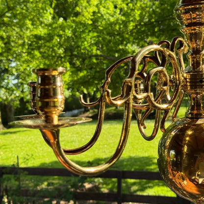 (Kopie) (Kopie) Xx - The Collectionist