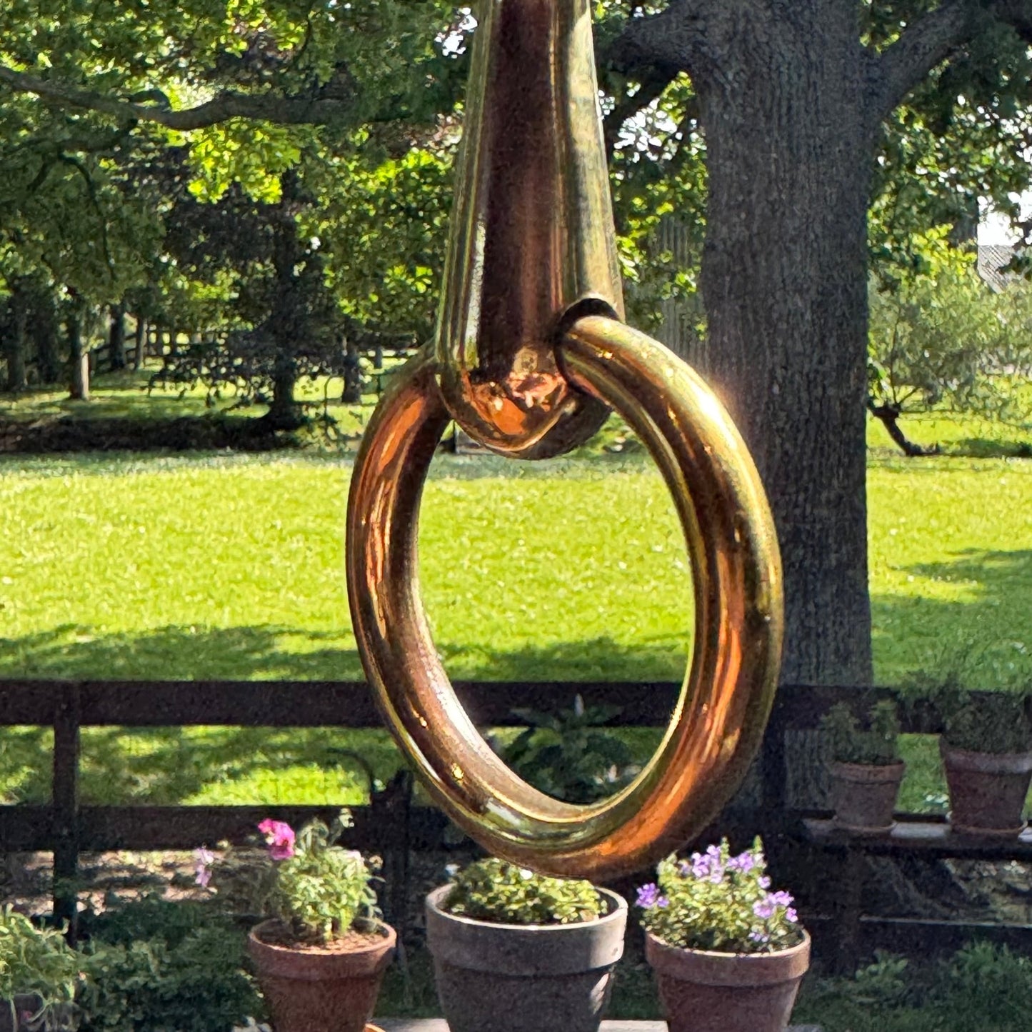 (Kopie) (Kopie) Xx - The Collectionist