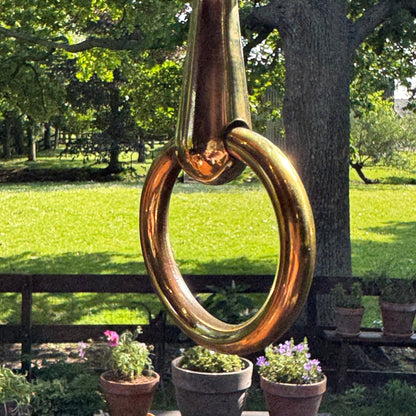 (Kopie) (Kopie) Xx - The Collectionist