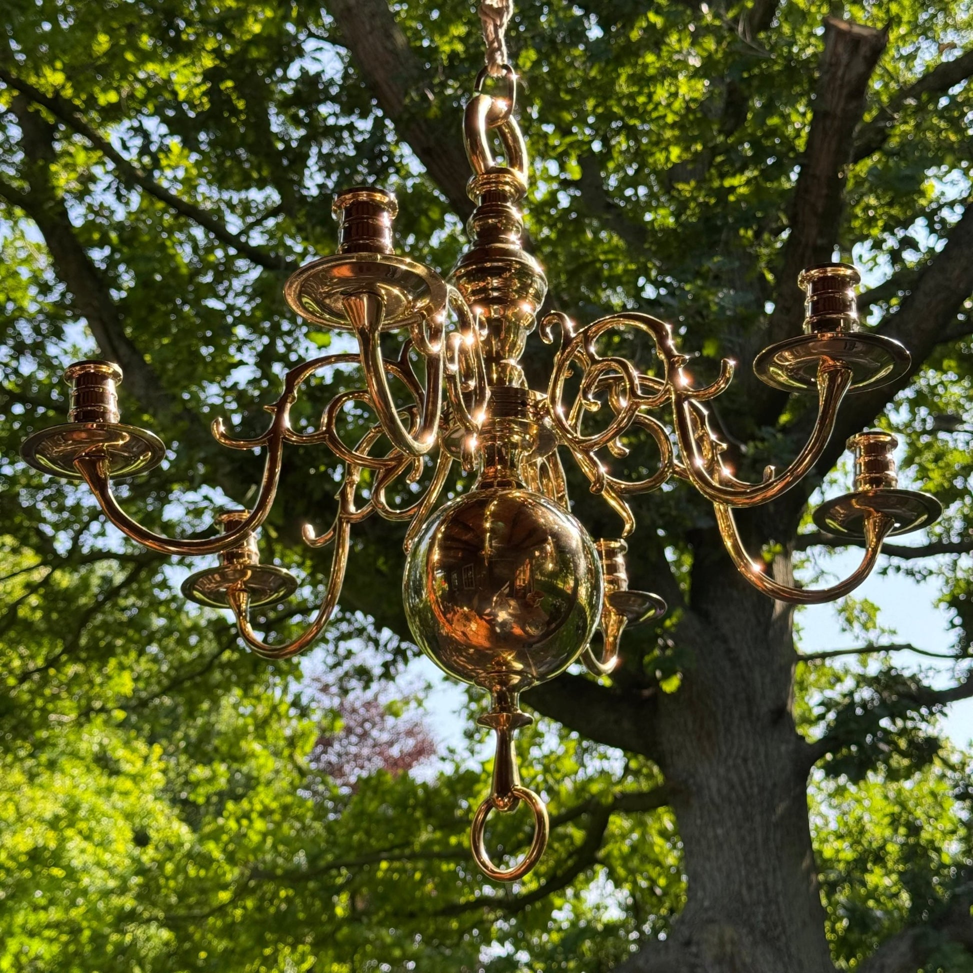 (Kopie) (Kopie) Xx - The Collectionist