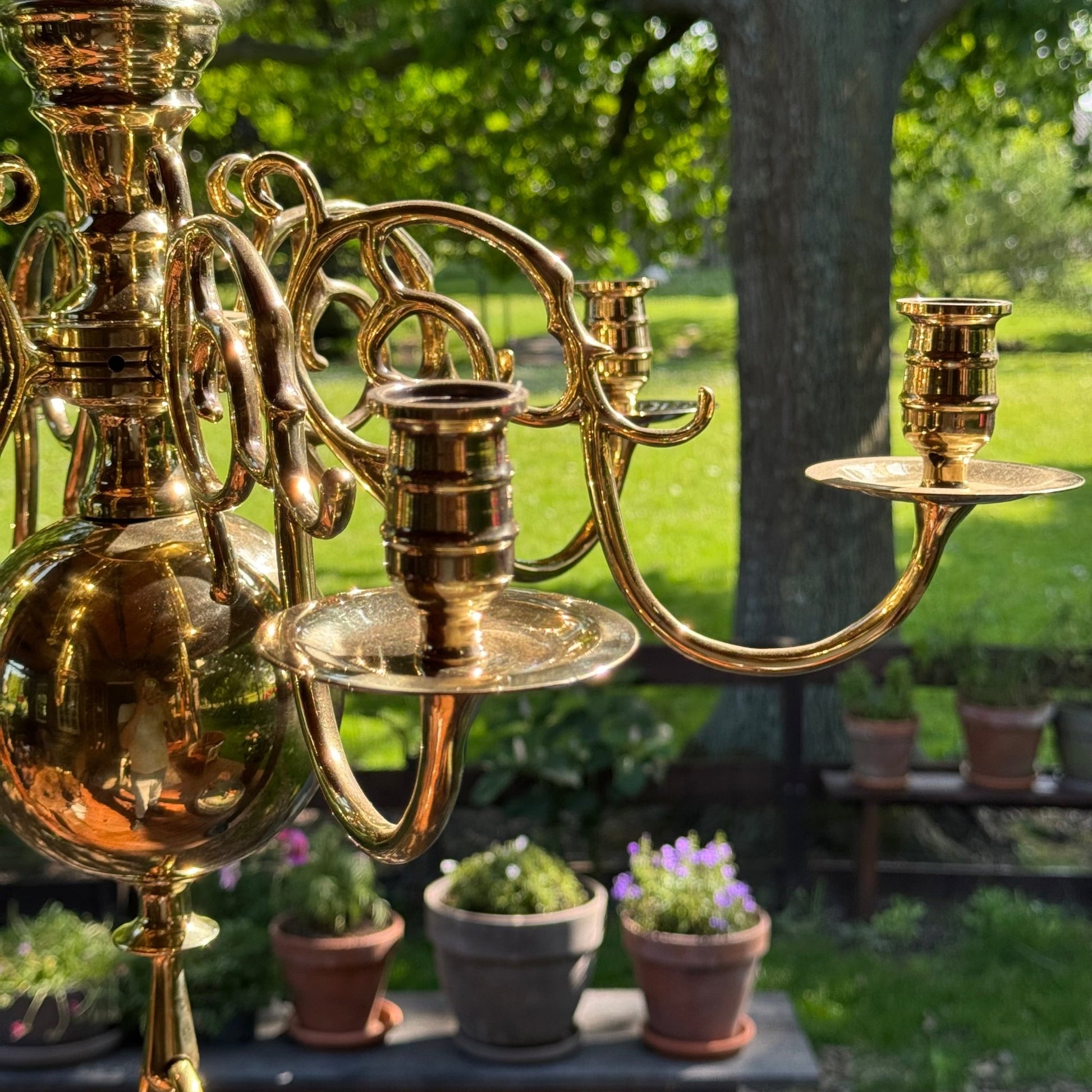 (Kopie) (Kopie) Xx - The Collectionist