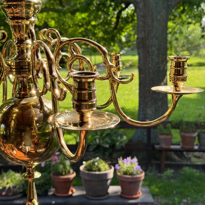 (Kopie) (Kopie) Xx - The Collectionist