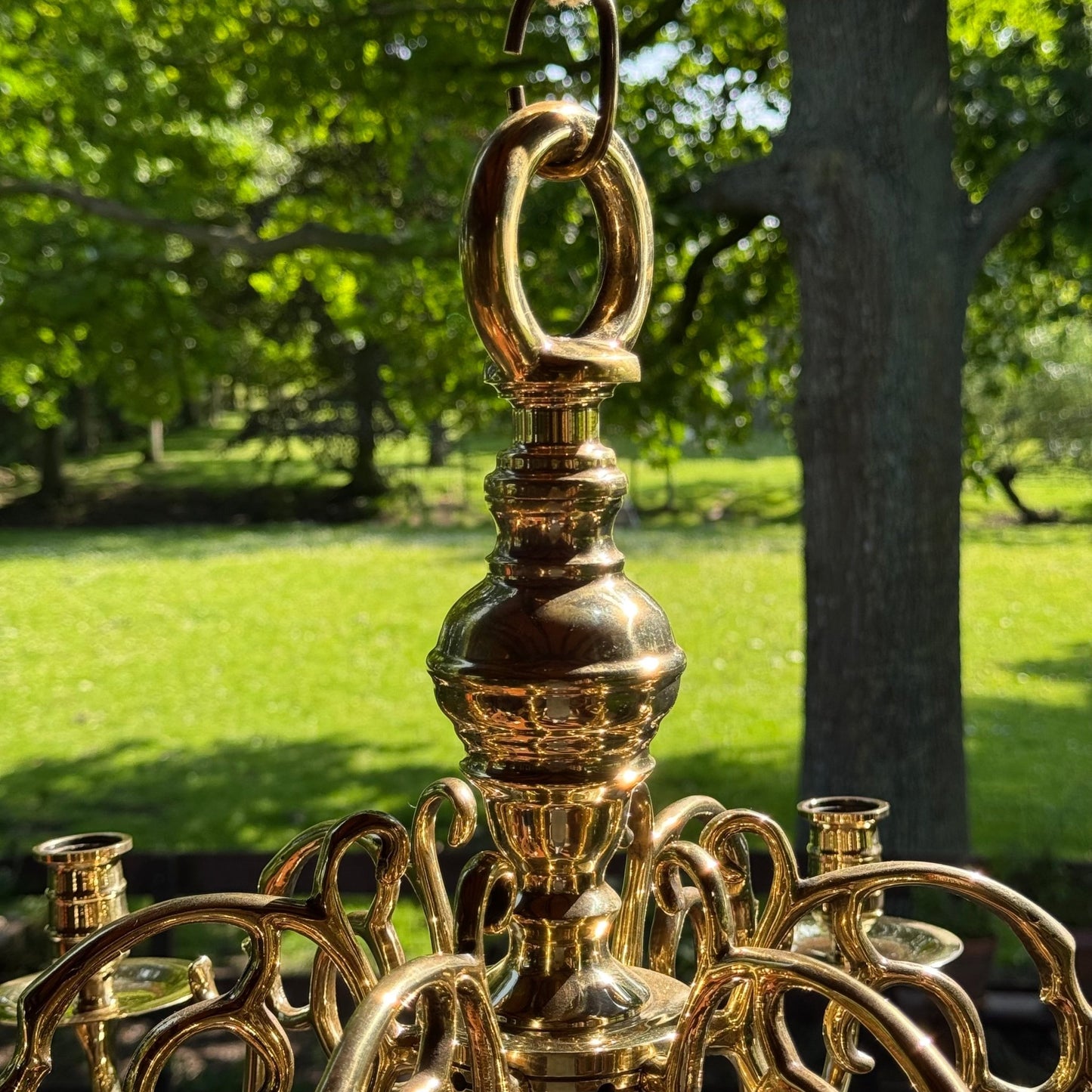 (Kopie) (Kopie) Xx - The Collectionist