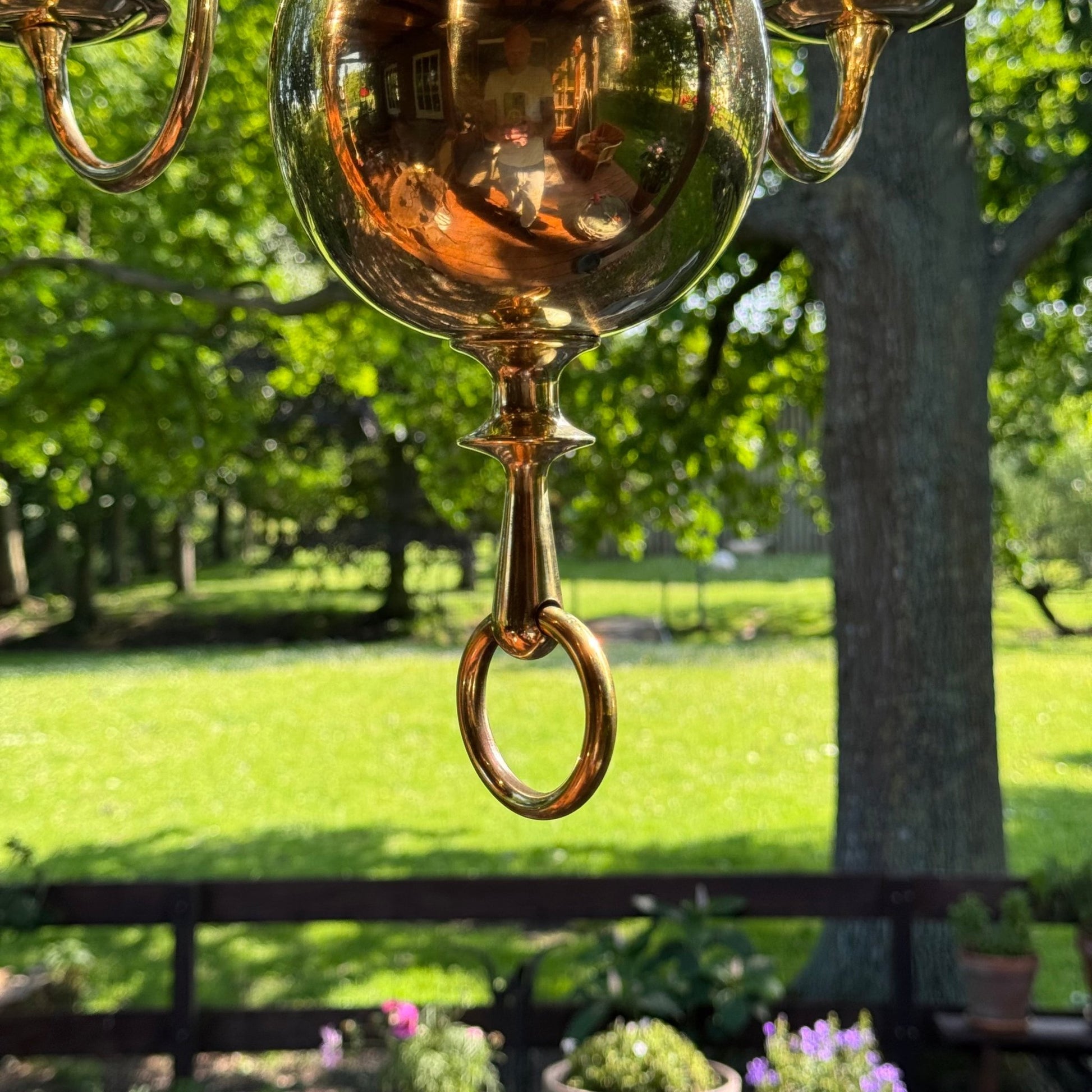 (Kopie) (Kopie) Xx - The Collectionist