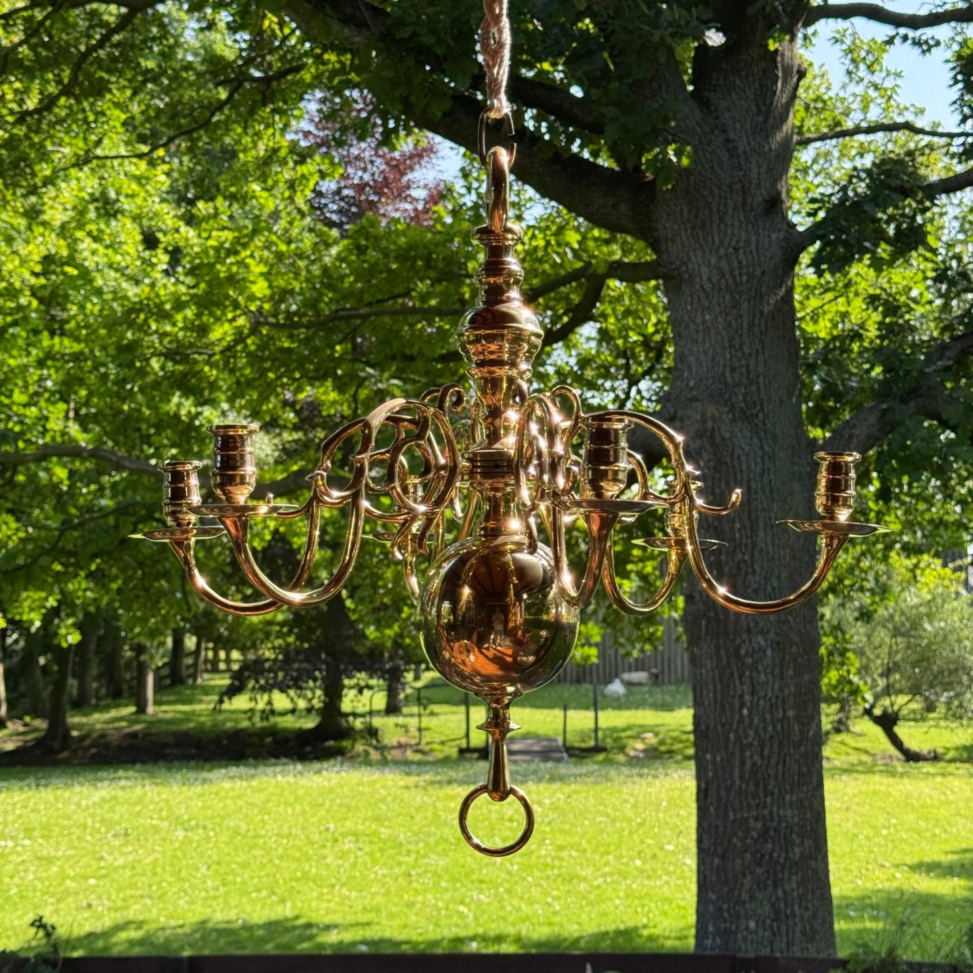 (Kopie) (Kopie) Xx - The Collectionist