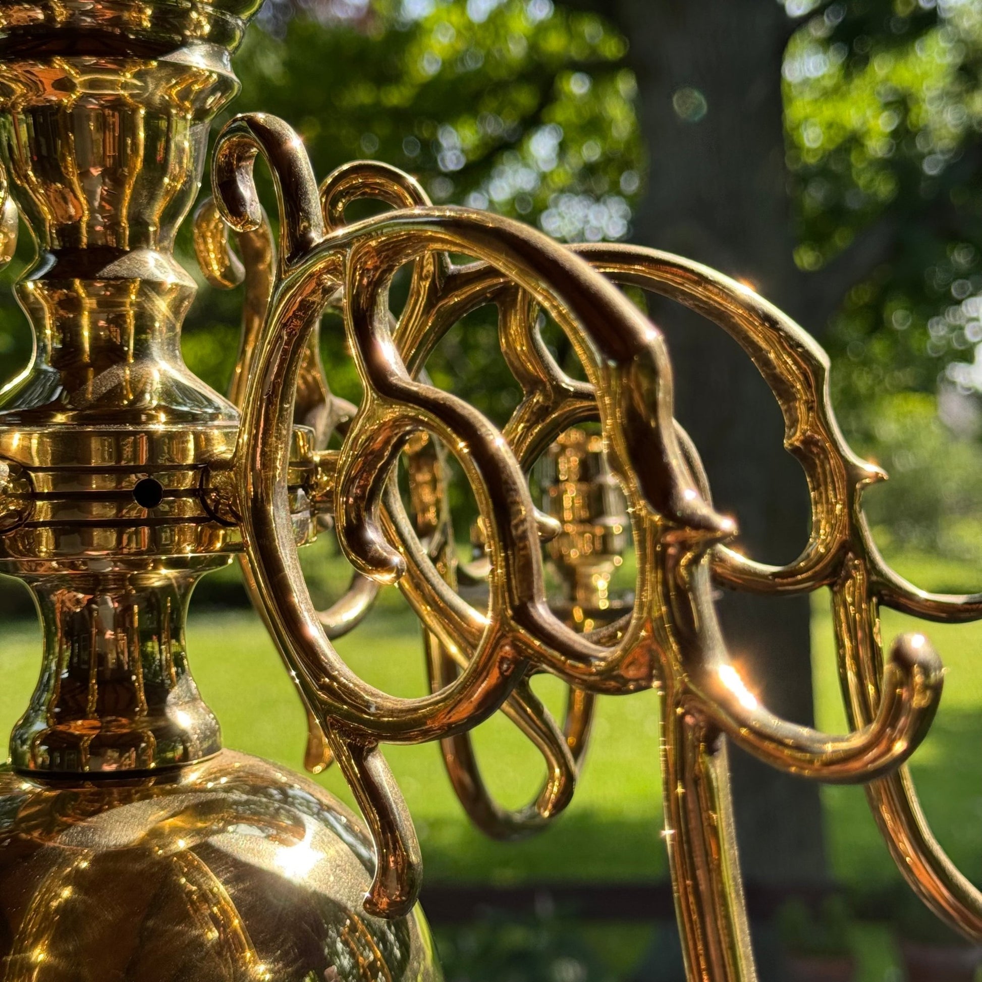 (Kopie) (Kopie) Xx - The Collectionist