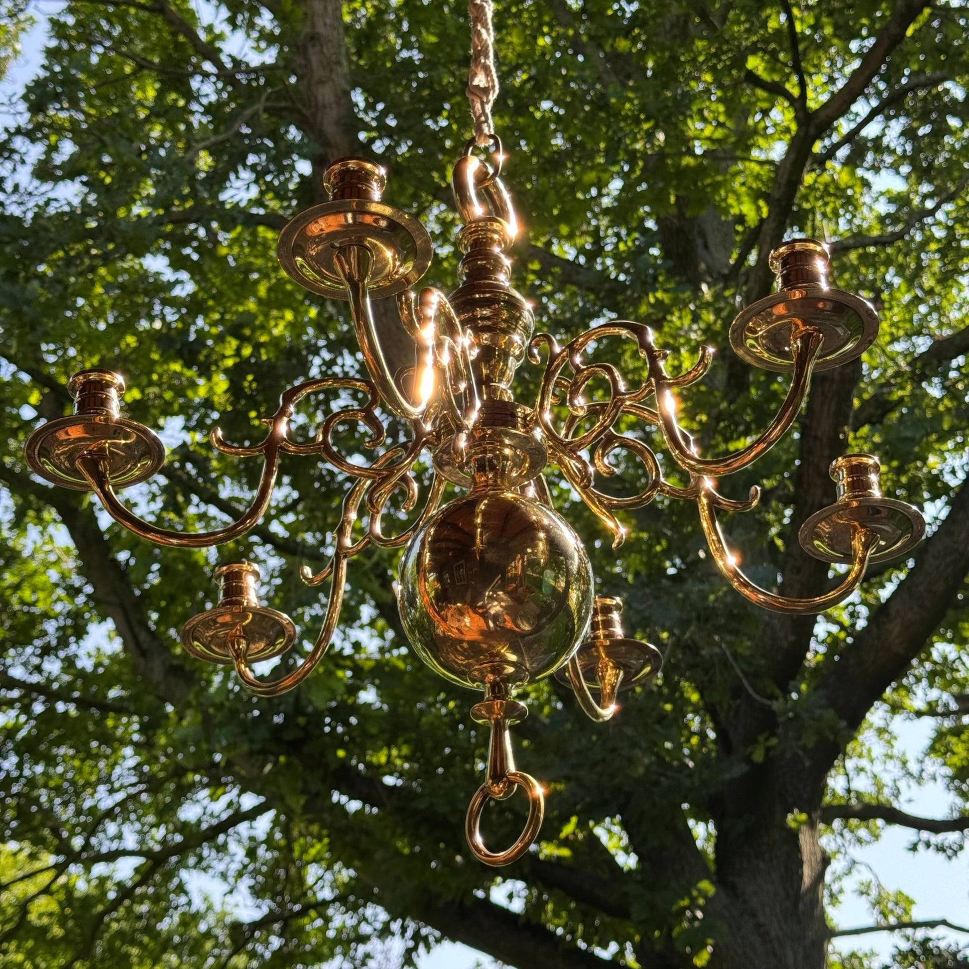 (Kopie) (Kopie) Xx - The Collectionist