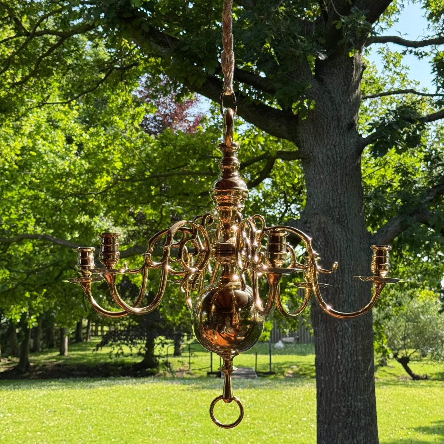 (Kopie) (Kopie) Xx - The Collectionist