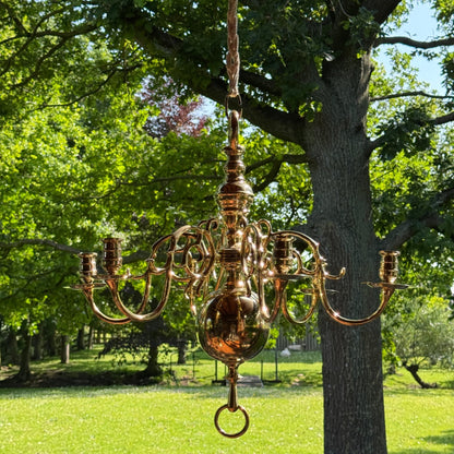 (Kopie) (Kopie) Xx - The Collectionist