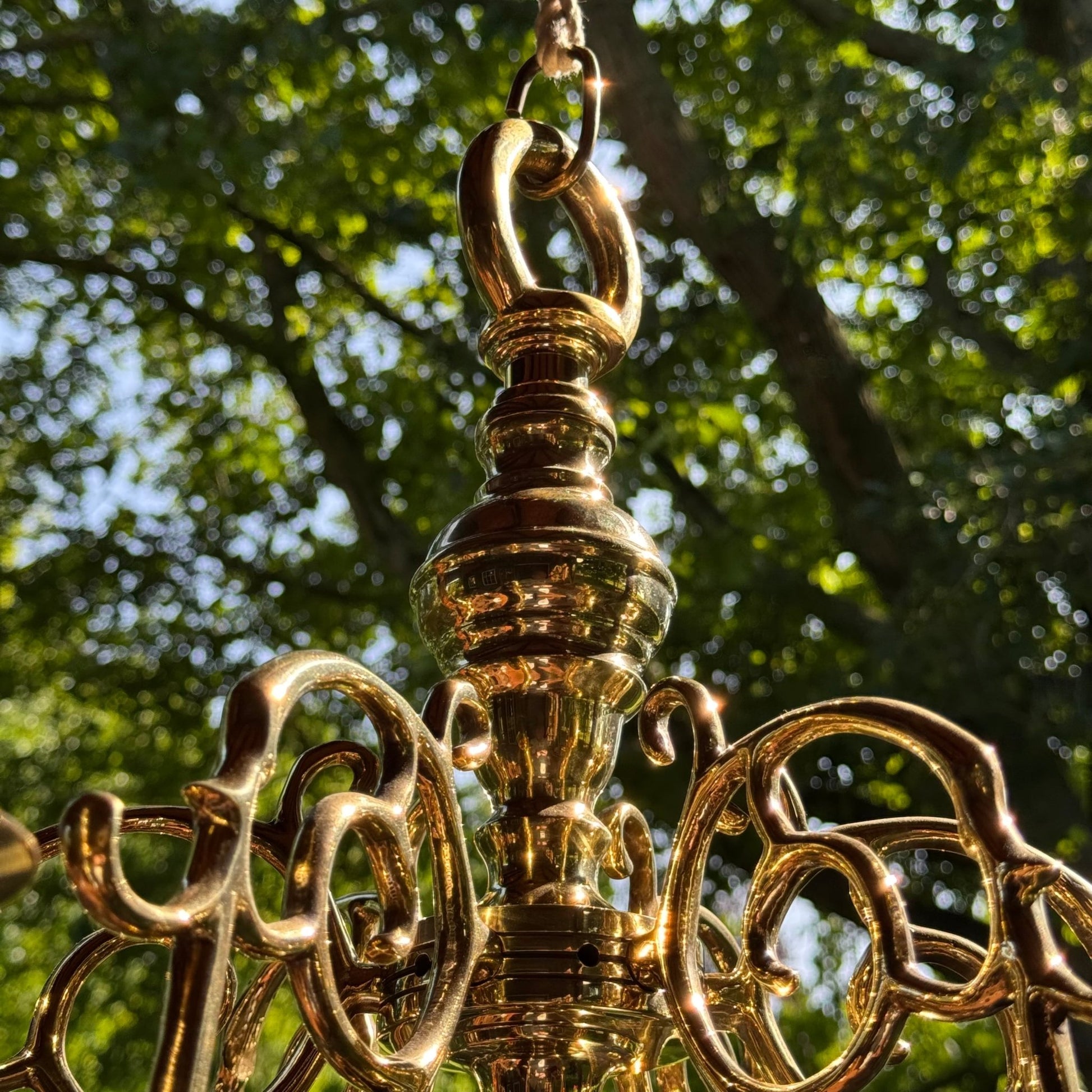 (Kopie) (Kopie) Xx - The Collectionist