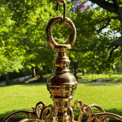 (Kopie) (Kopie) Xx - The Collectionist