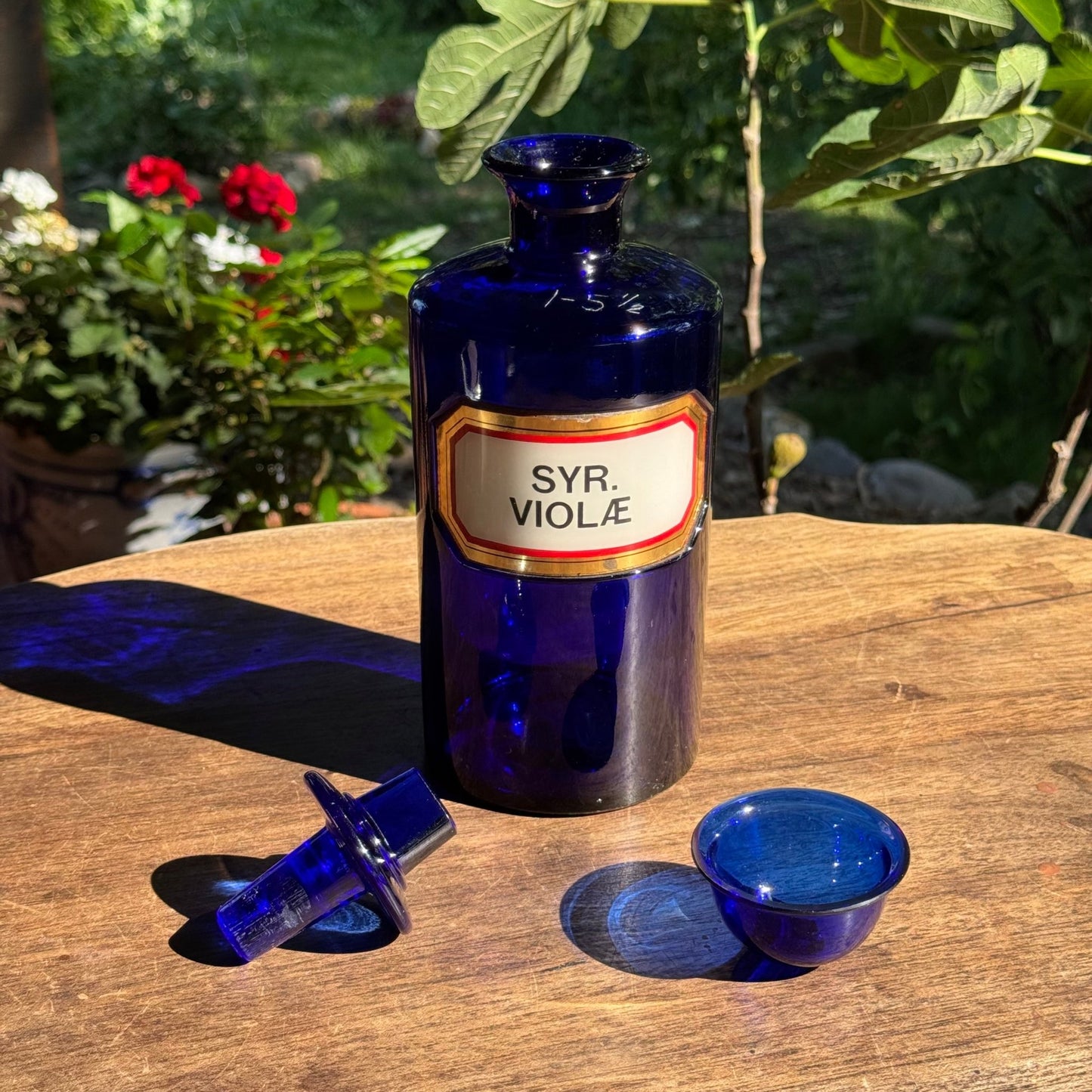 (Kopie) Xx - The Collectionist