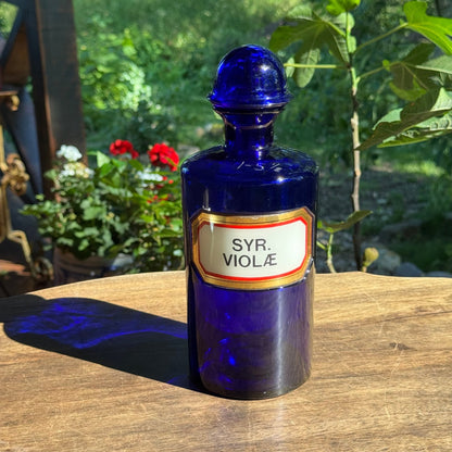 (Kopie) Xx - The Collectionist