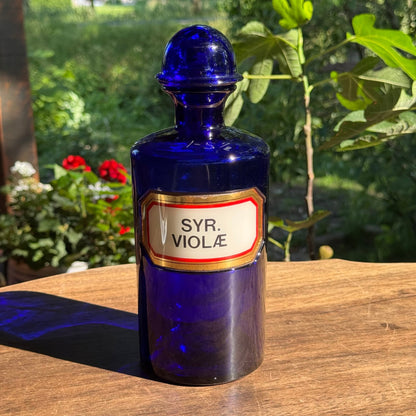 (Kopie) Xx - The Collectionist