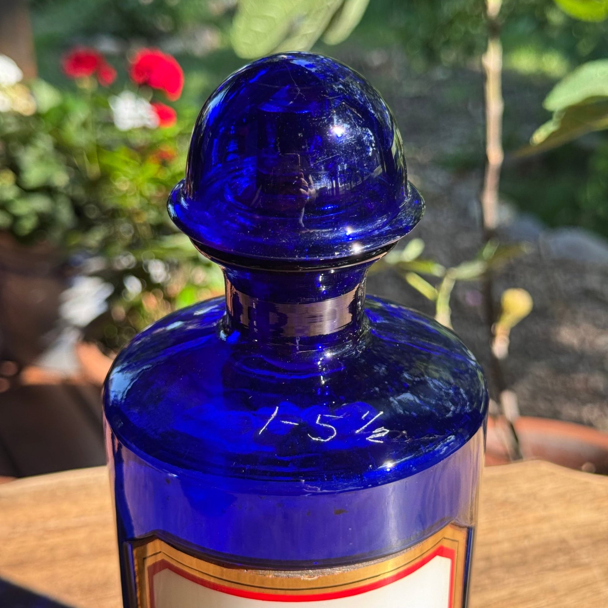 (Kopie) Xx - The Collectionist