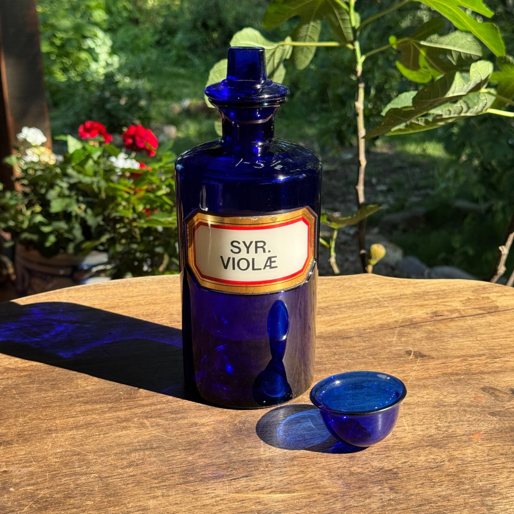 (Kopie) Xx - The Collectionist