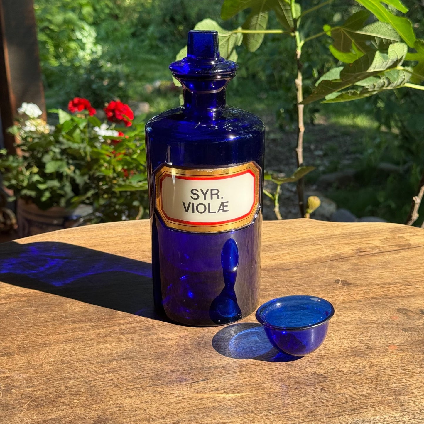 (Kopie) Xx - The Collectionist