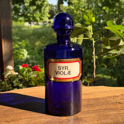 (Kopie) Xx - The Collectionist