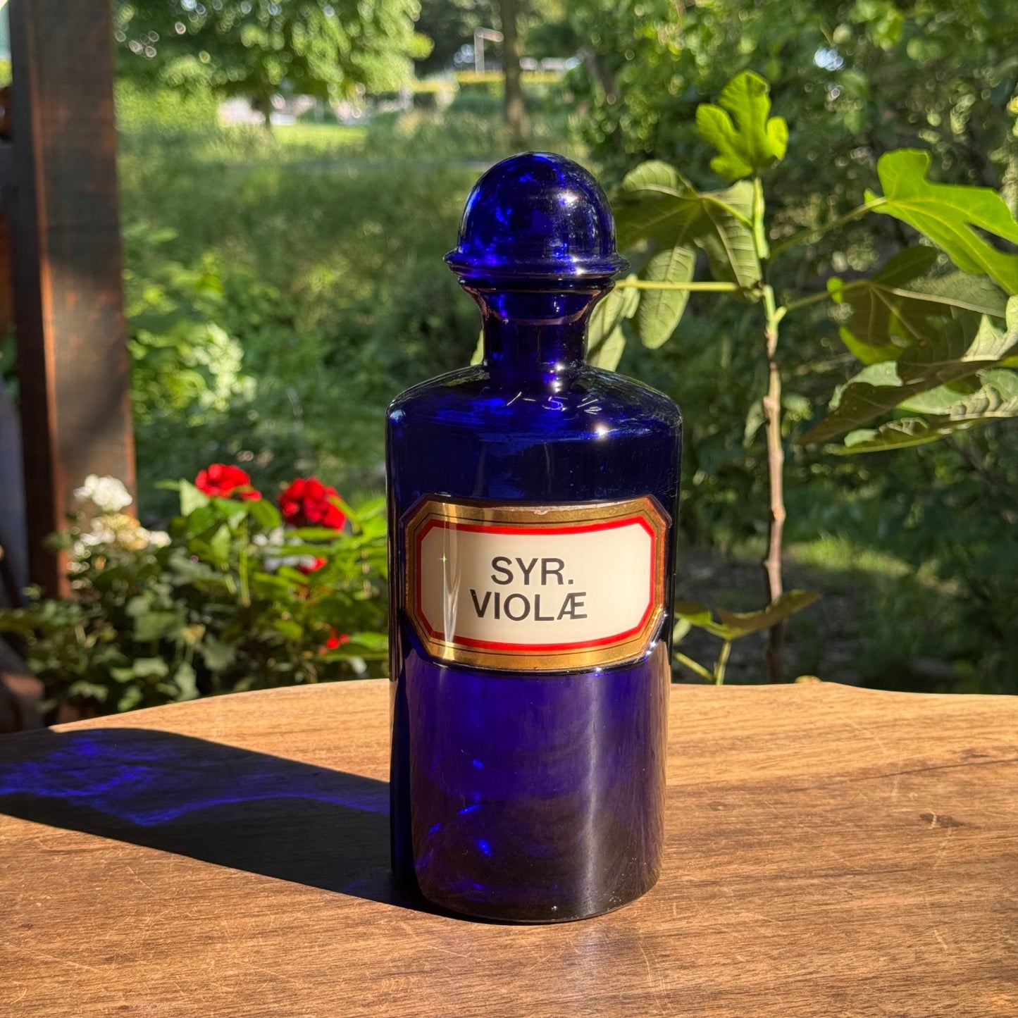 (Kopie) Xx - The Collectionist