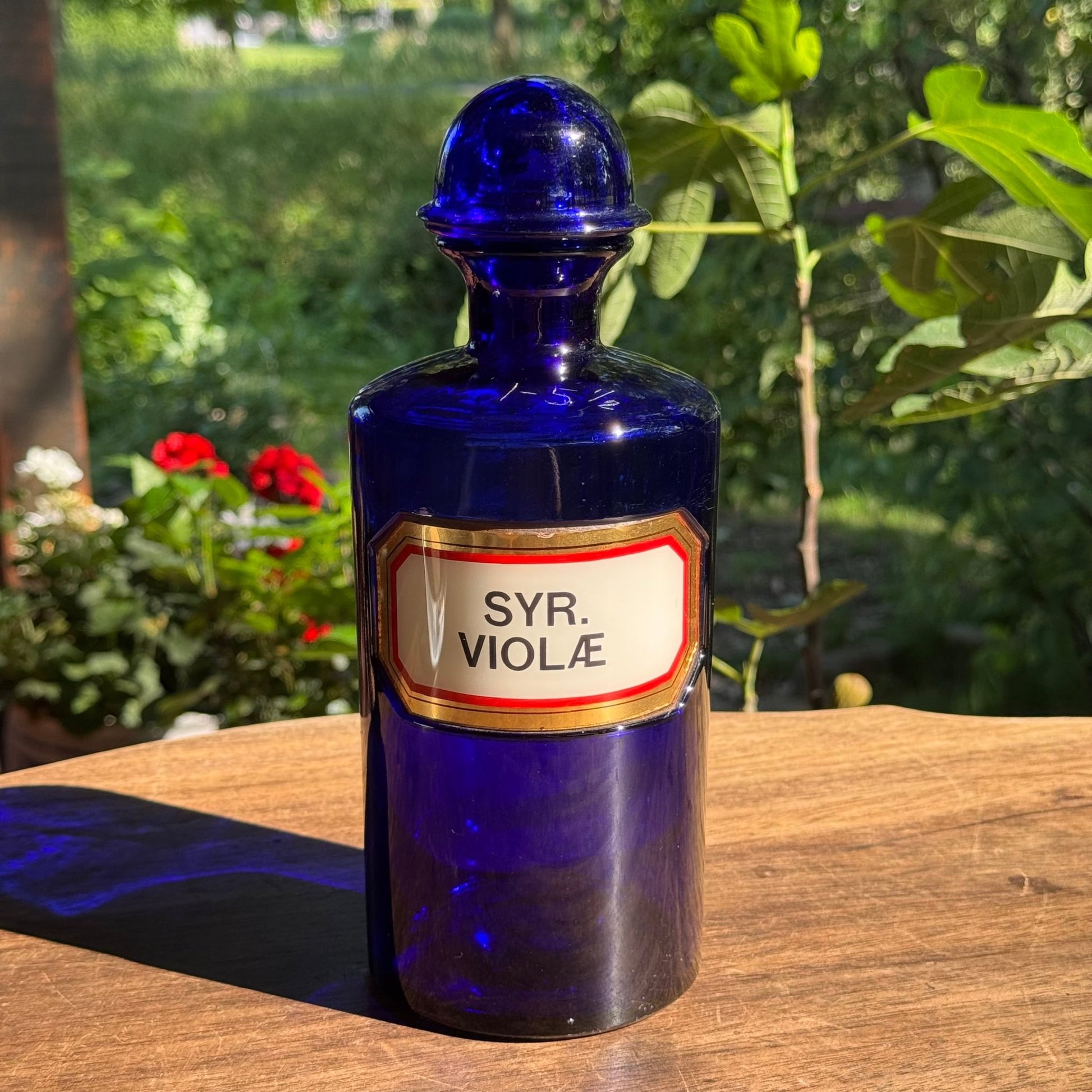 (Kopie) Xx - The Collectionist