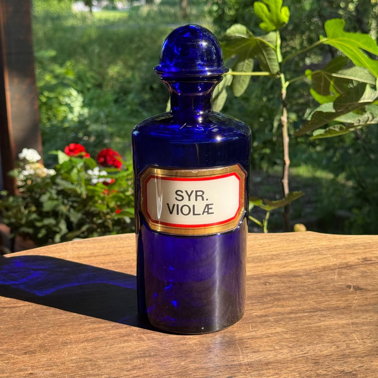 (Kopie) Xx - The Collectionist