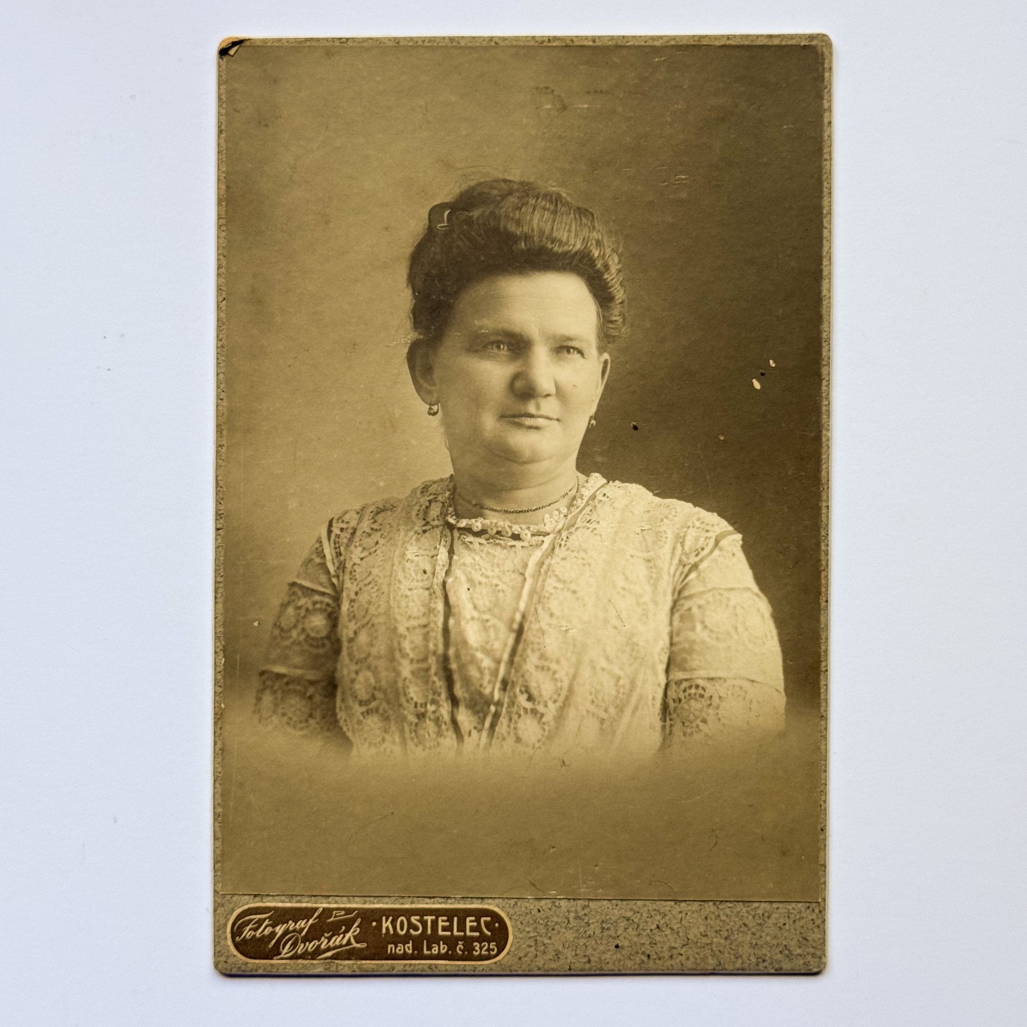Portret van een vrouw met kanten jurk - Fotograf Dvořák, Kostelec nad Labem (ca. 1910) - The Collectionist