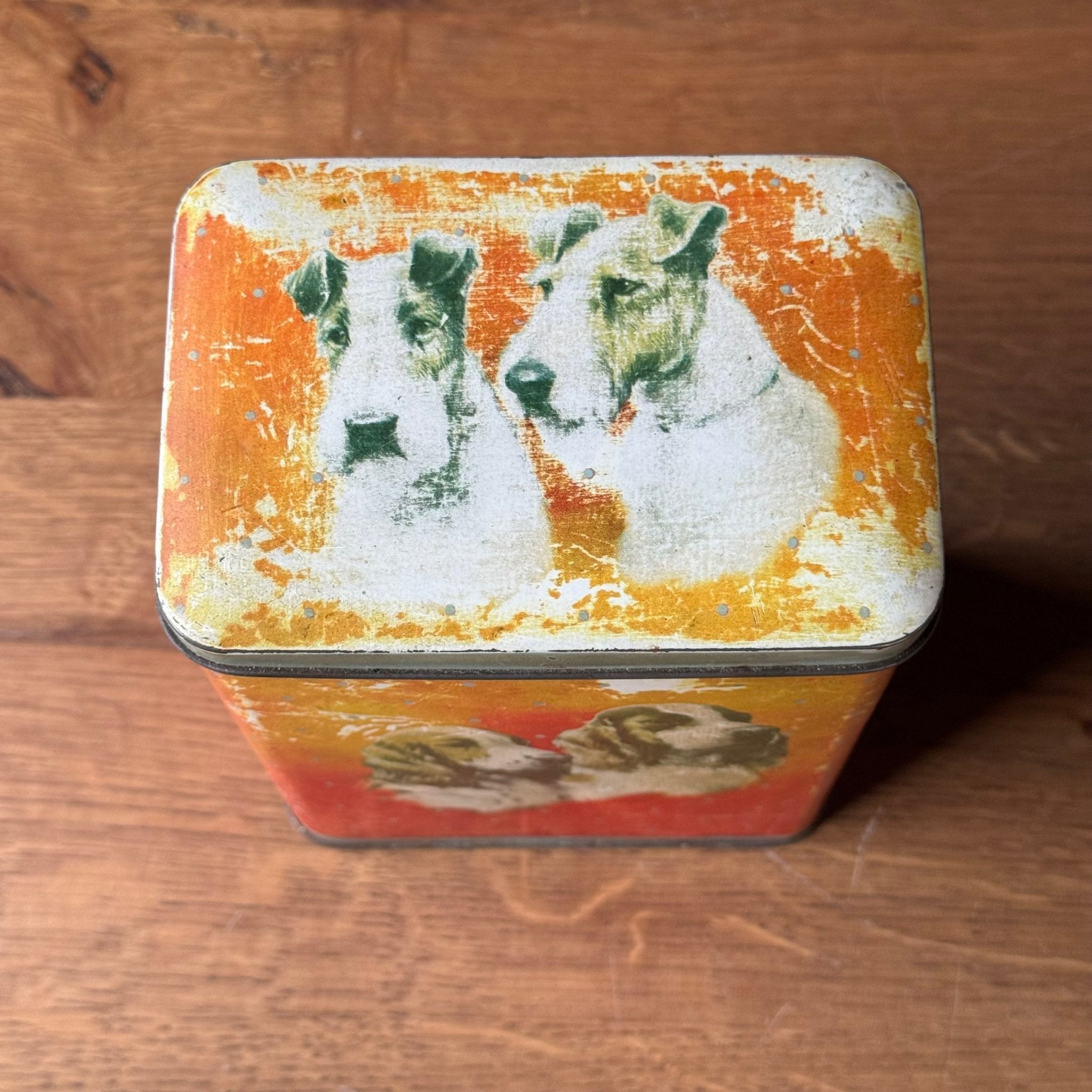 Vintage hondenblik – blik met spaniel & terrier illustraties (jaren 50–60) - The Collectionist