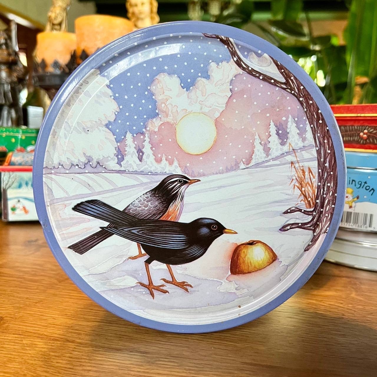 Winterblik Met Volgels - The Collectionist