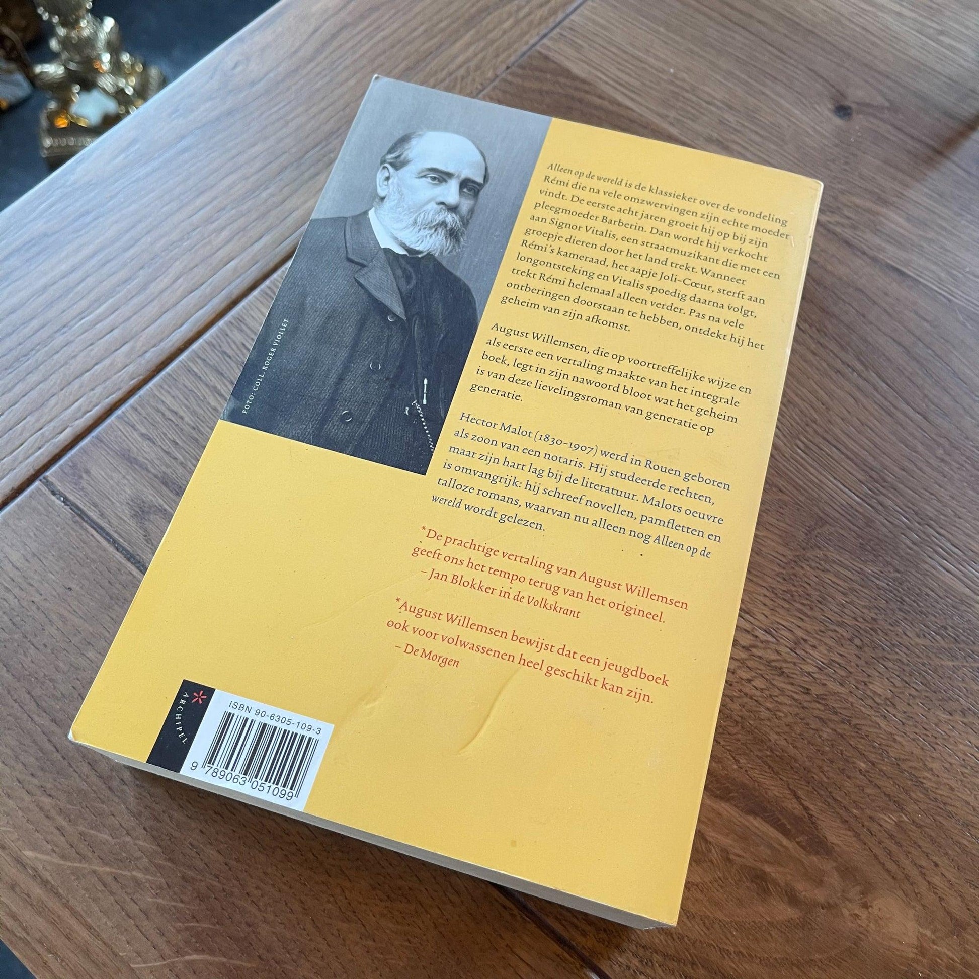 Alleen op de wereld (Hector Malot) - Bamestra Curiosa