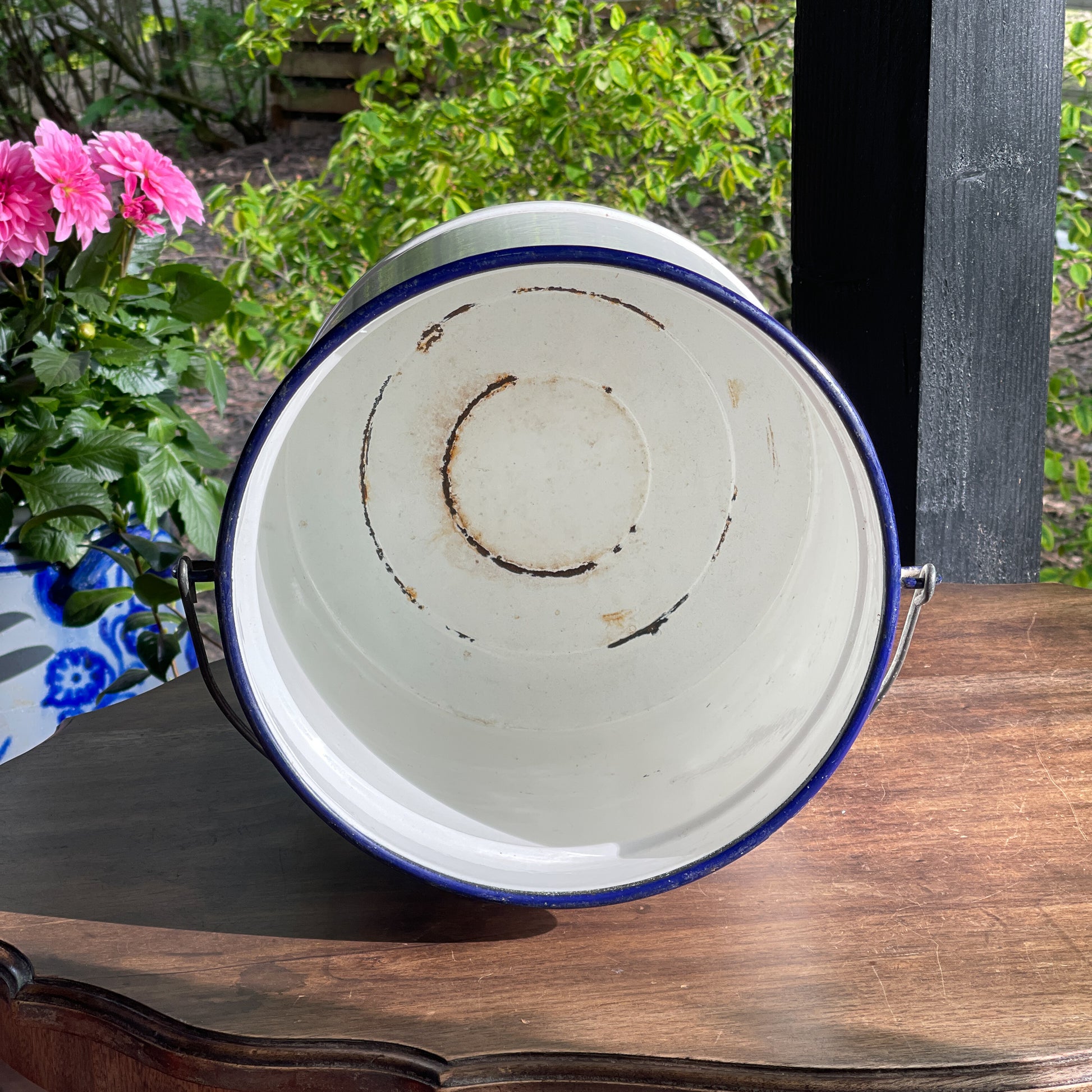 Emaille Emmer - Bamestra Curiosa