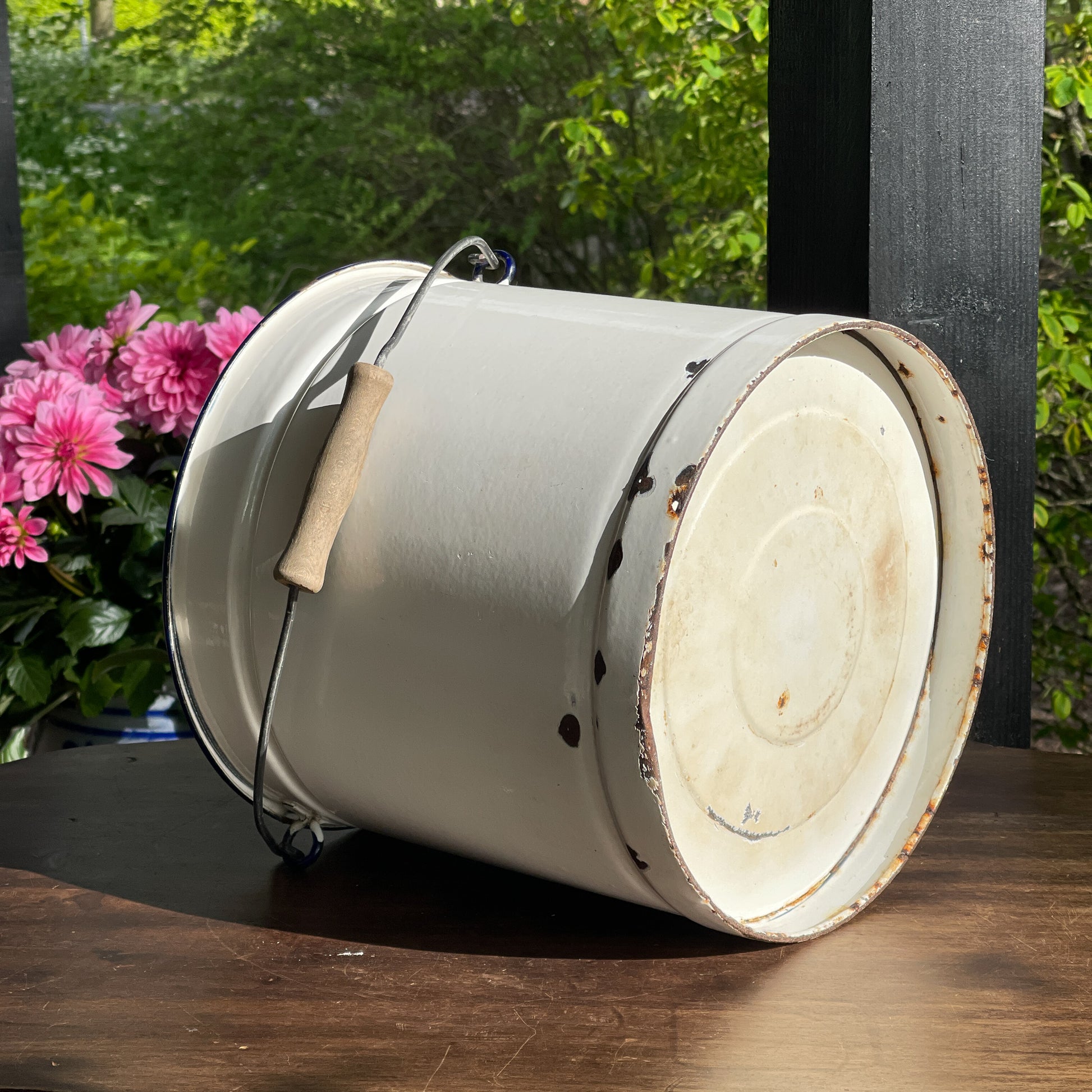 Emaille Emmer - Bamestra Curiosa