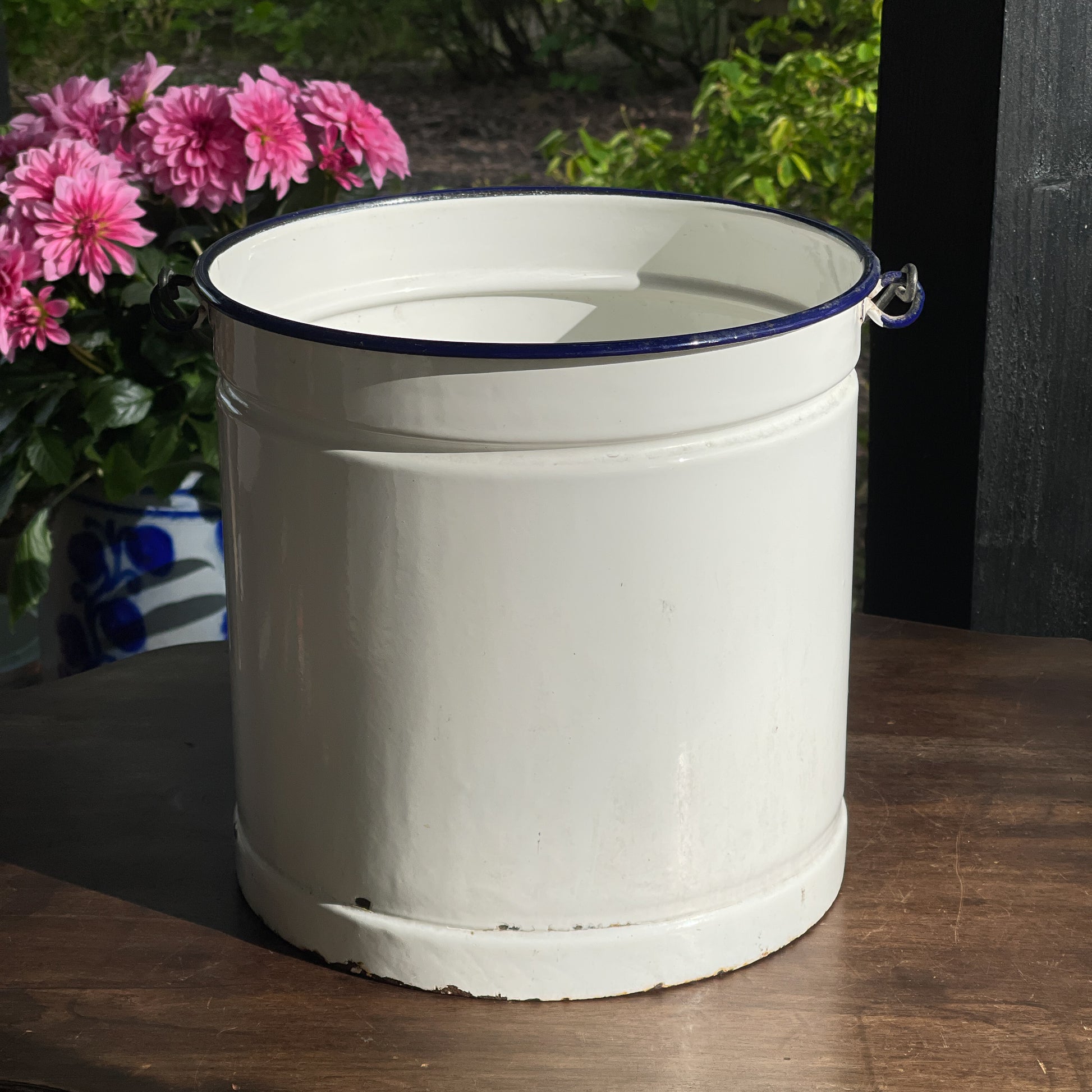 Emaille Emmer - Bamestra Curiosa