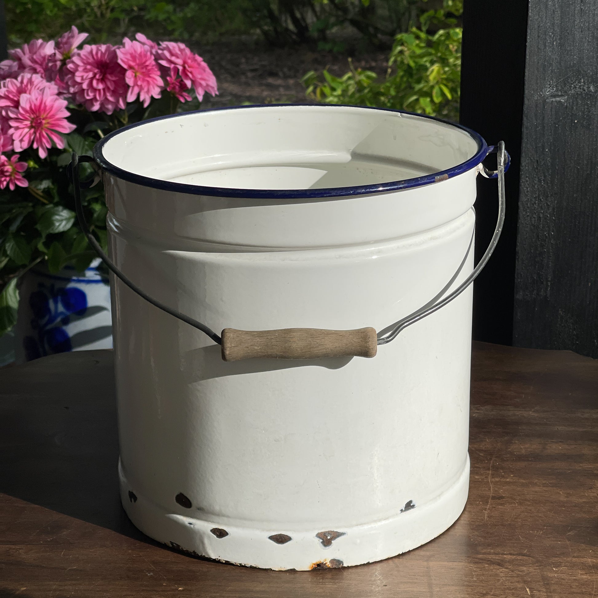 Emaille Emmer - Bamestra Curiosa