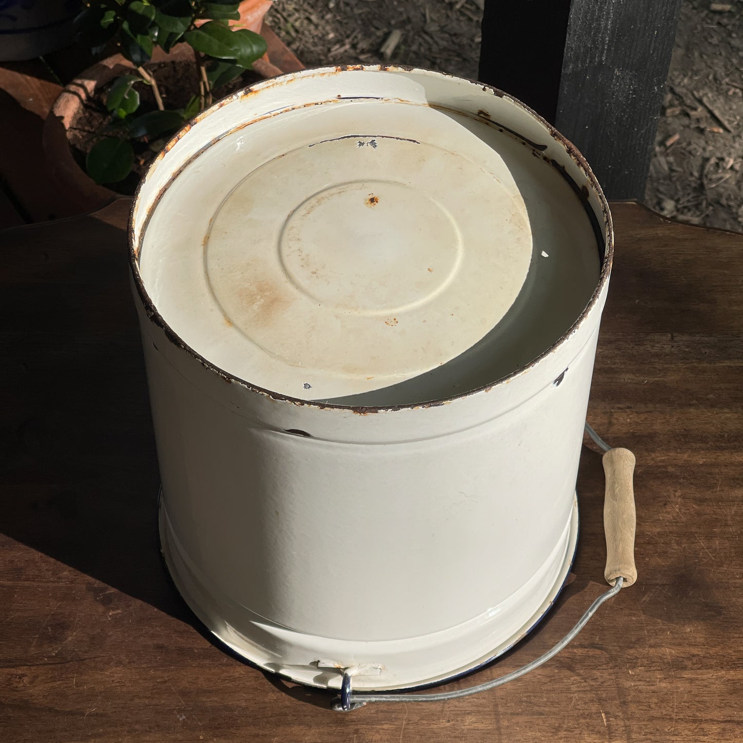 Emaille Emmer - Bamestra Curiosa