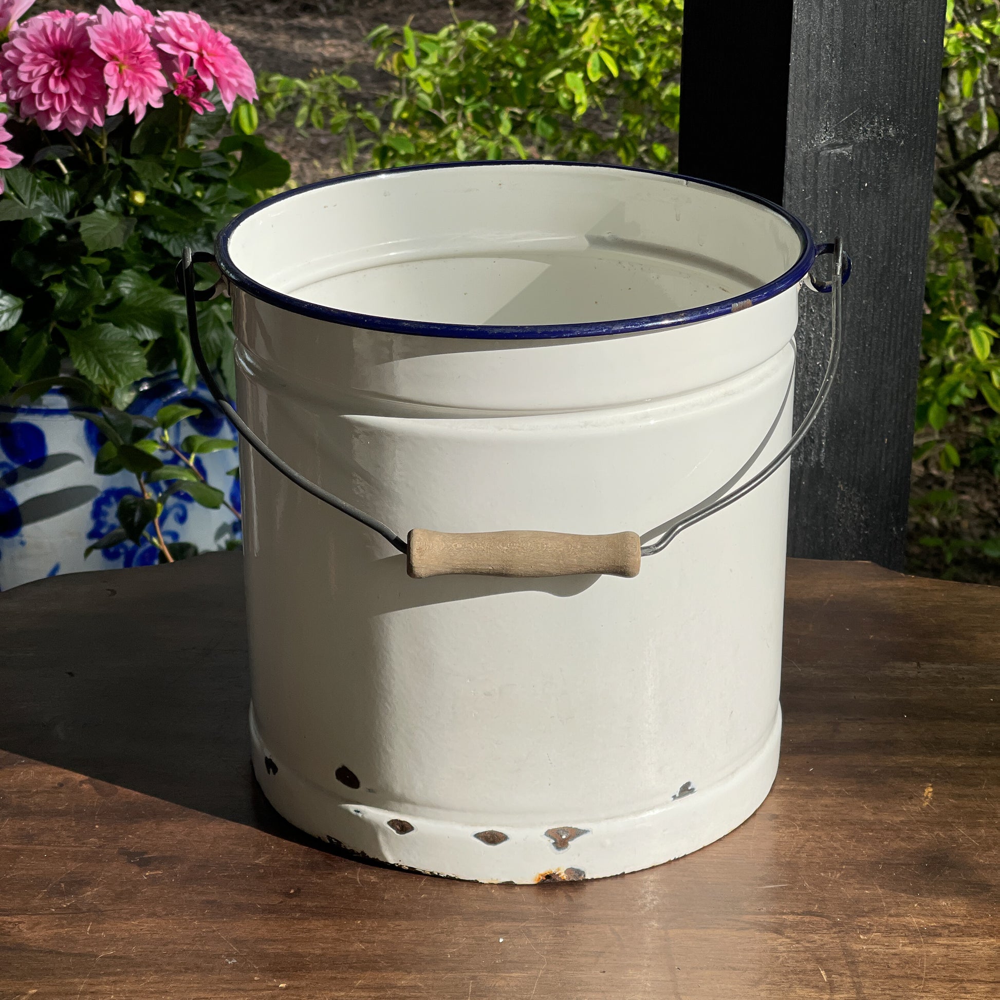 Emaille Emmer - Bamestra Curiosa