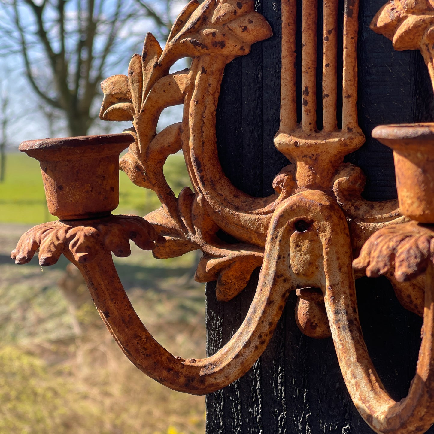 Dubbele Gietijzeren Wandkandelaar - Bamestra Curiosa