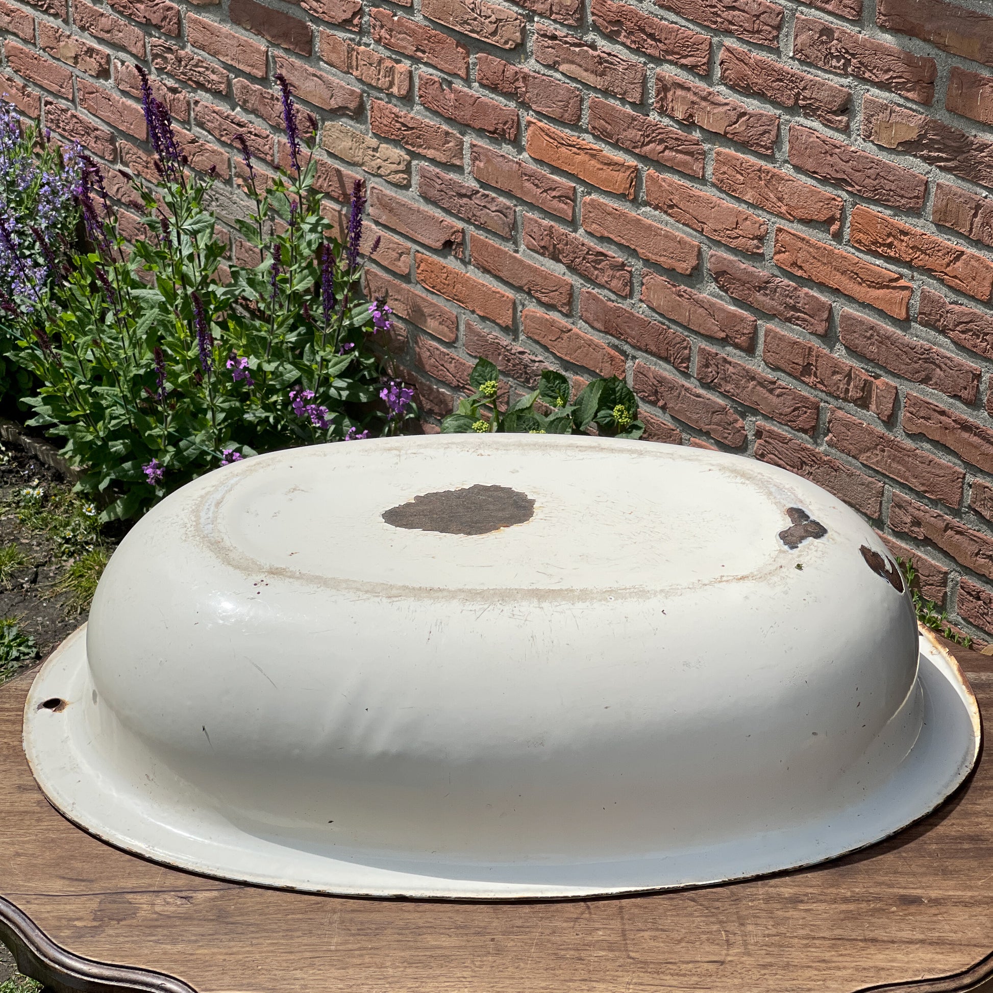 Wit Emaille Badje - Bamestra Curiosa