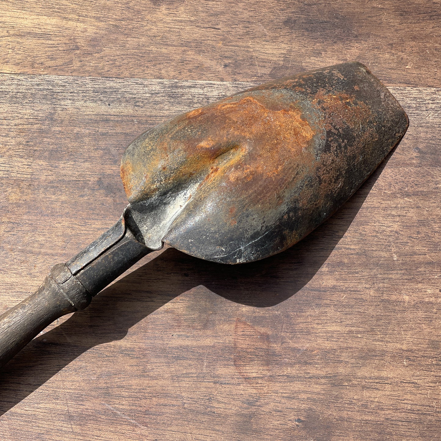 Antieke Kolenschep - Bamestra Curiosa