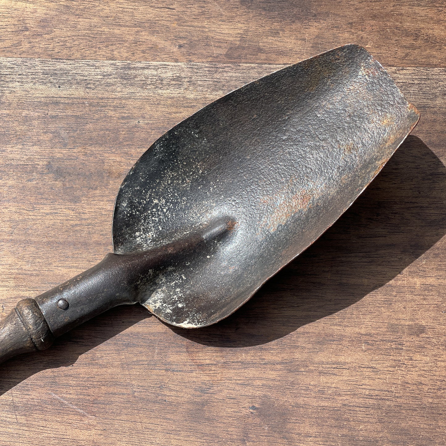 Antieke Kolenschep - Bamestra Curiosa