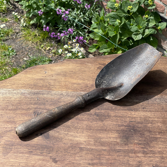 Antieke Kolenschep - Bamestra Curiosa