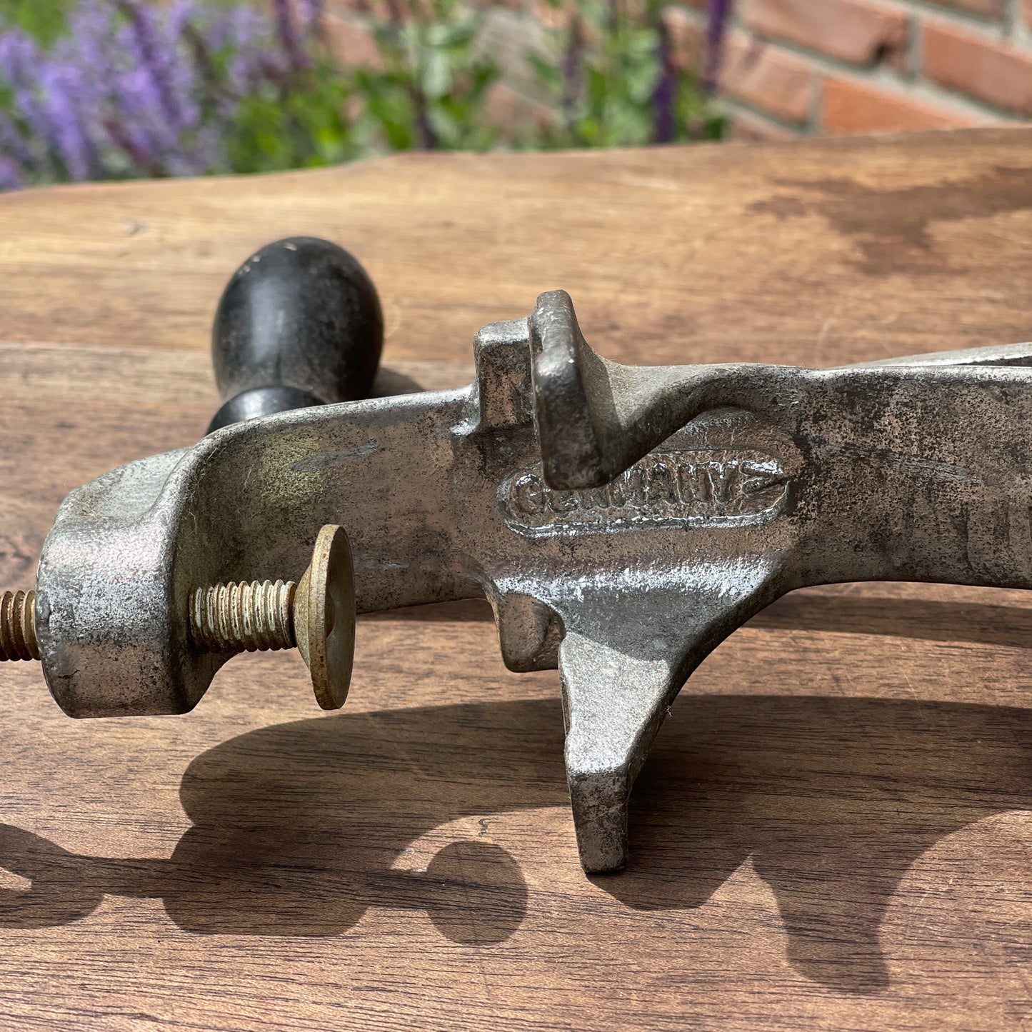 Gehaktmolen - Bamestra Curiosa