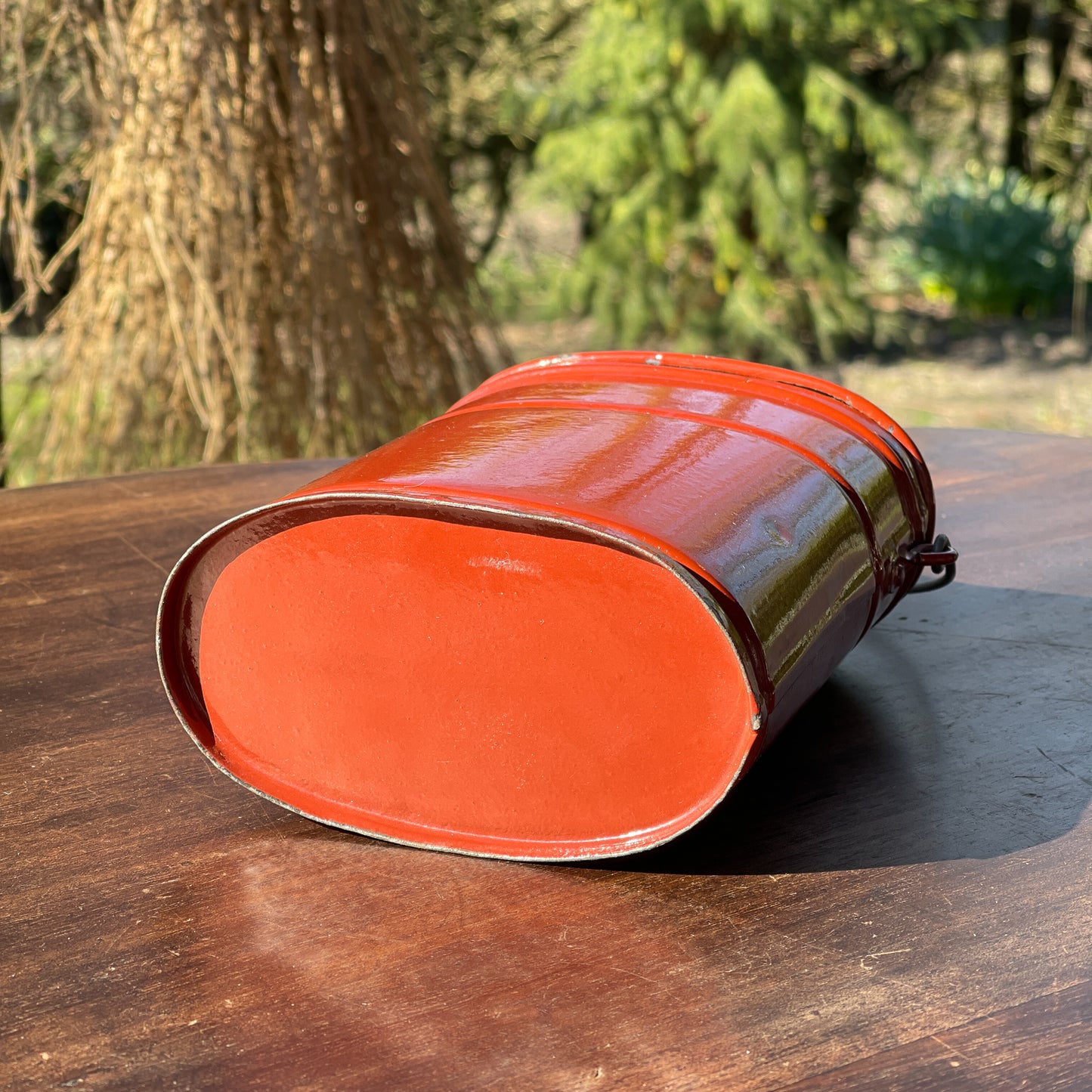 Bruine Emaille Bus - Bamestra Curiosa