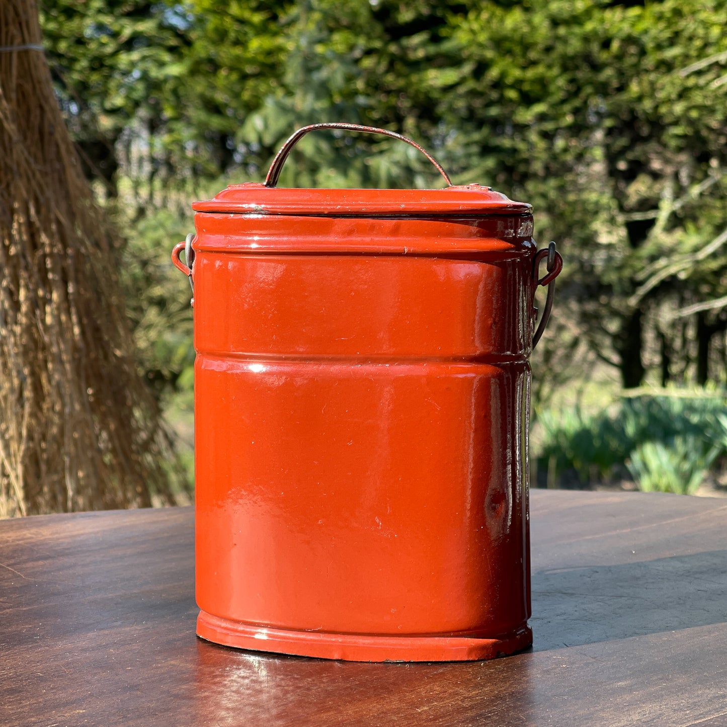 Bruine Emaille Bus - Bamestra Curiosa