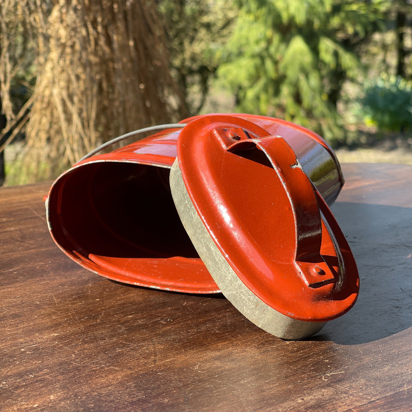 Bruine Emaille Bus - Bamestra Curiosa