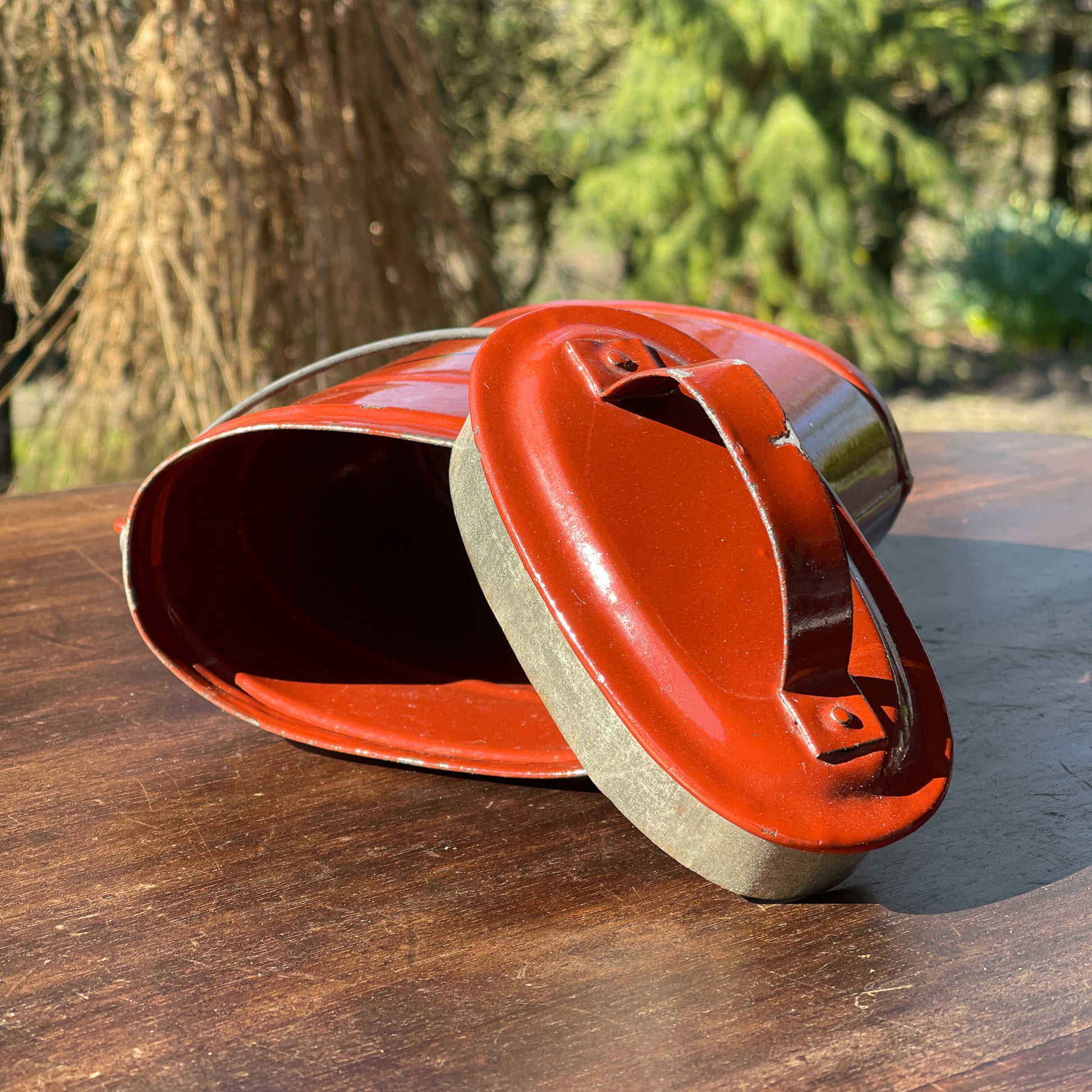 Bruine Emaille Bus - Bamestra Curiosa