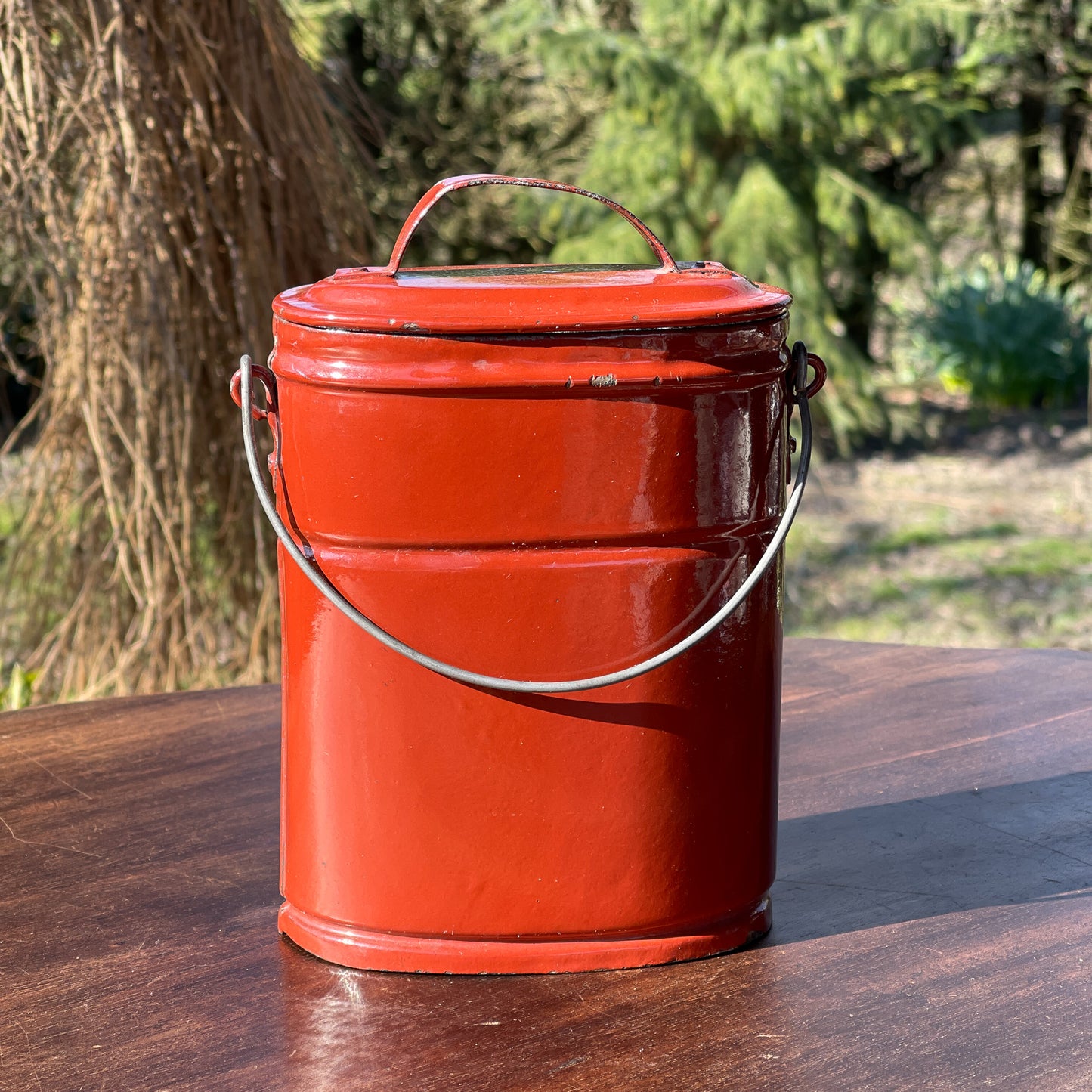 Bruine Emaille Bus - Bamestra Curiosa