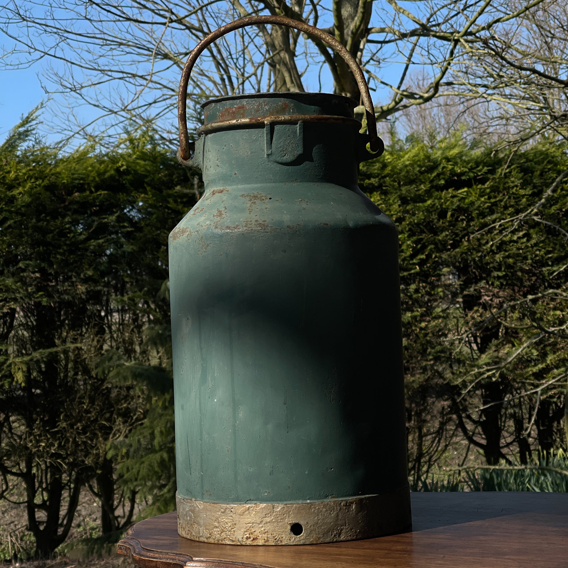 Bechilderde Melkbus - Bamestra Curiosa