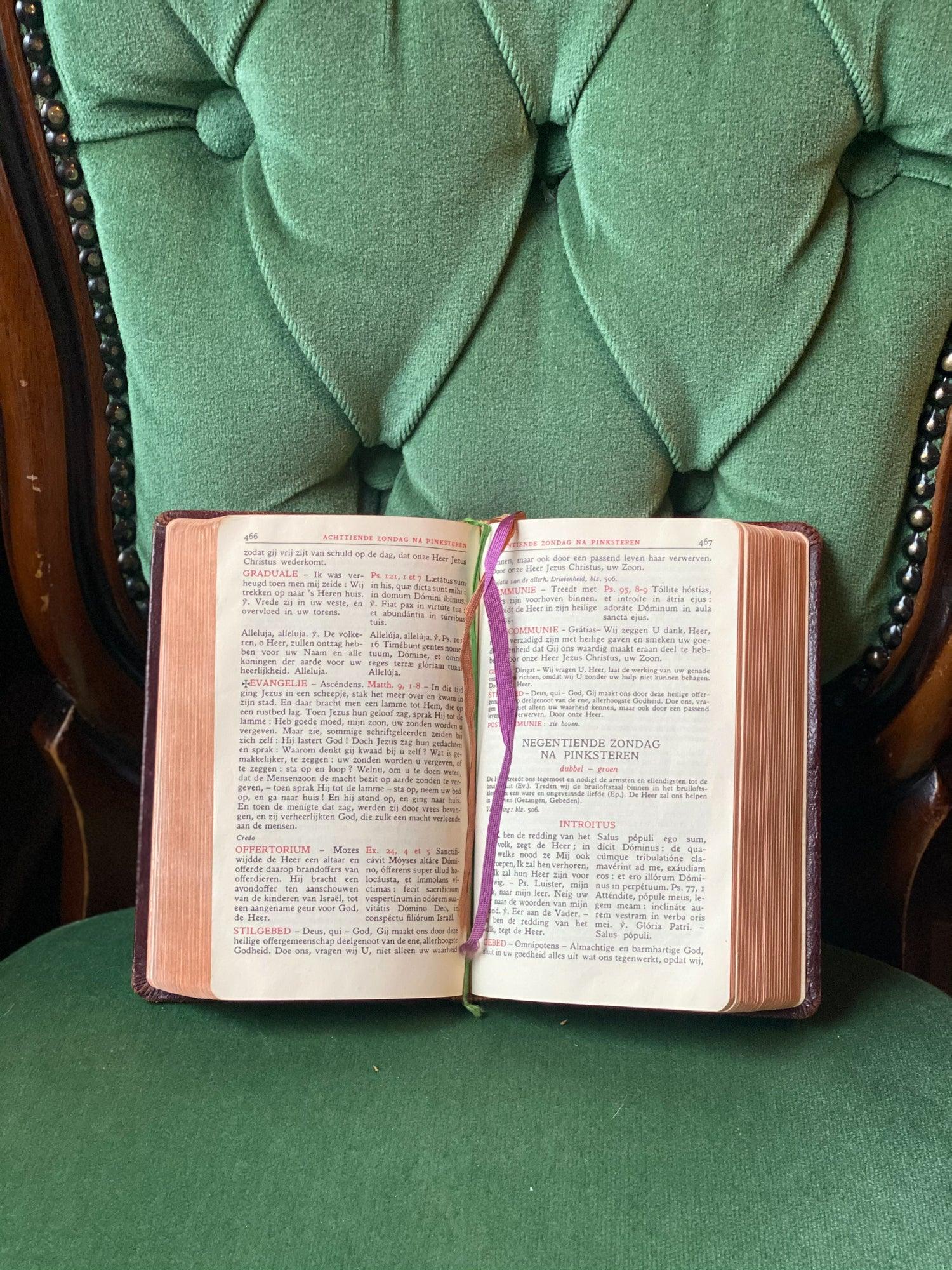 Bijbel met leren kaft - Bamestra Curiosa