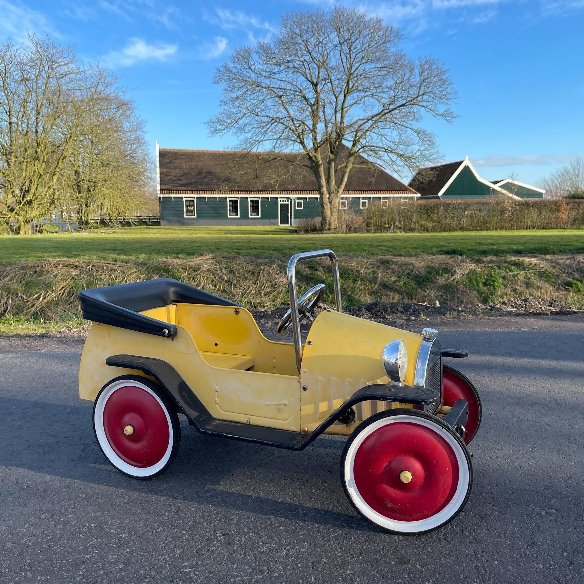 Brum trapauto - Bamestra Curiosa