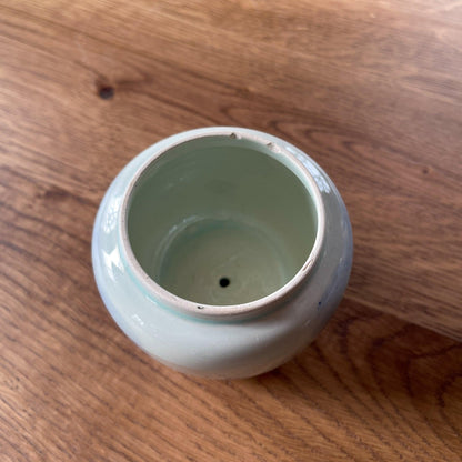 Delfts blauw potje - Bamestra Curiosa